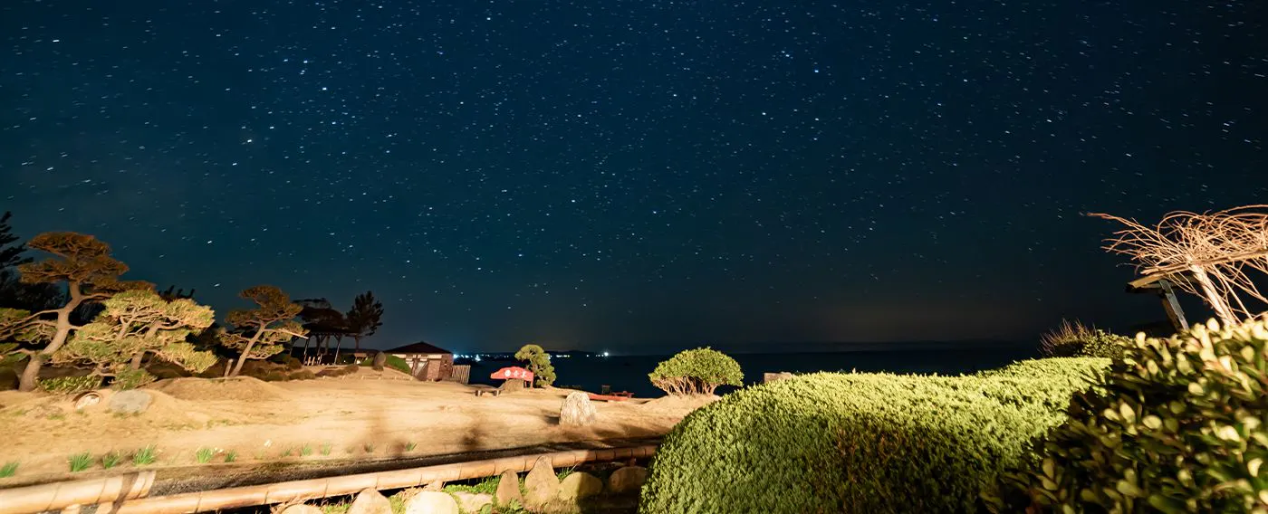 ท้องฟ้าที่เต็มไปด้วยดวงดาว