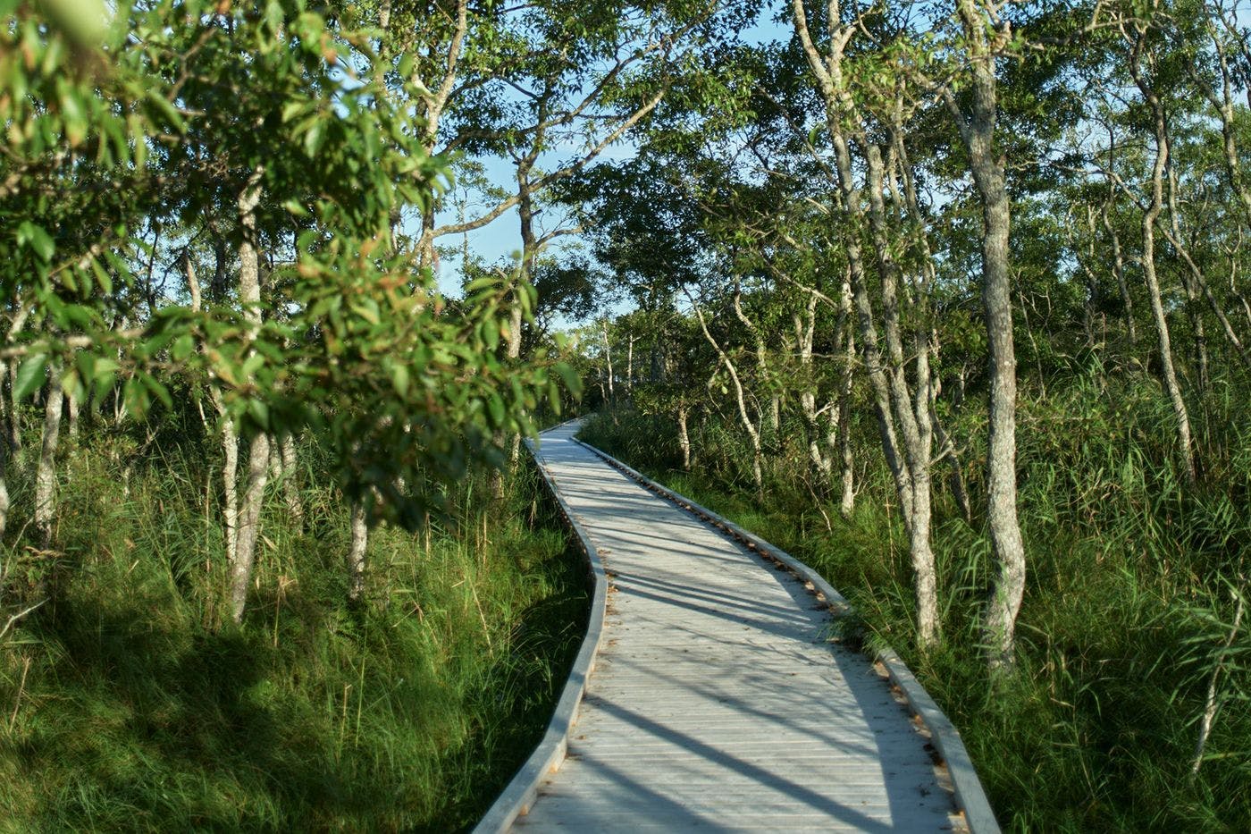 เส้นทางบึงน้ำ