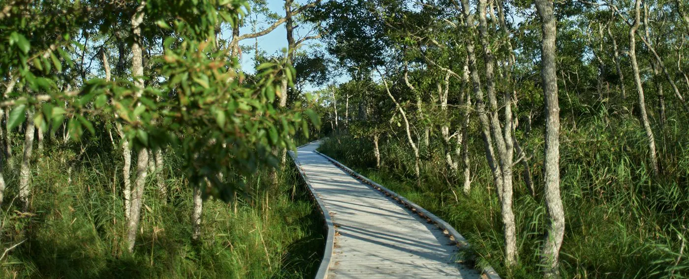 เส้นทางบึงน้ำ