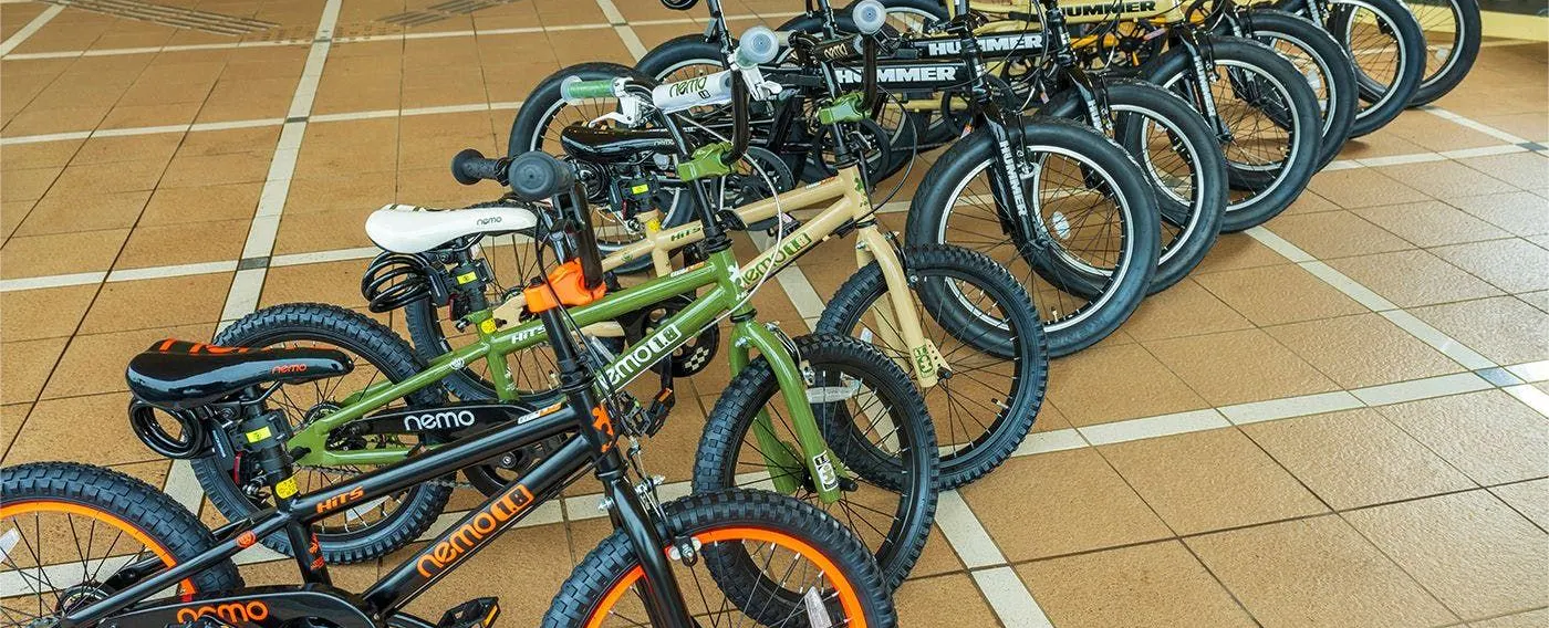 ファットバイク