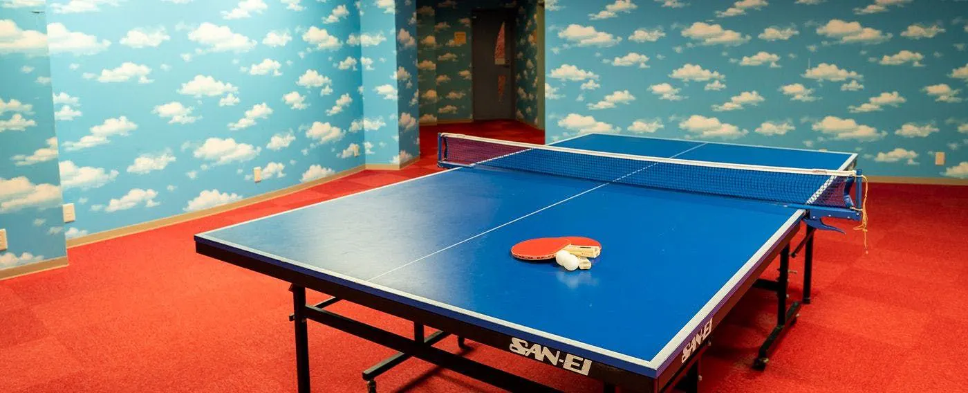 卓球台