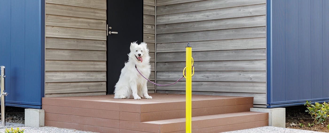 Kamenoi Hotel Kujukuri