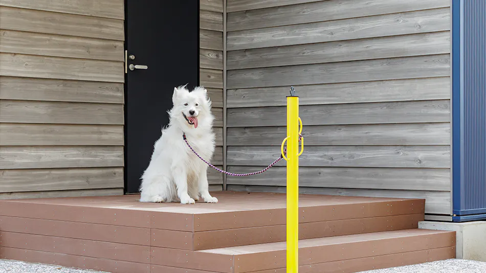 Kamenoi Hotel Kujukuri