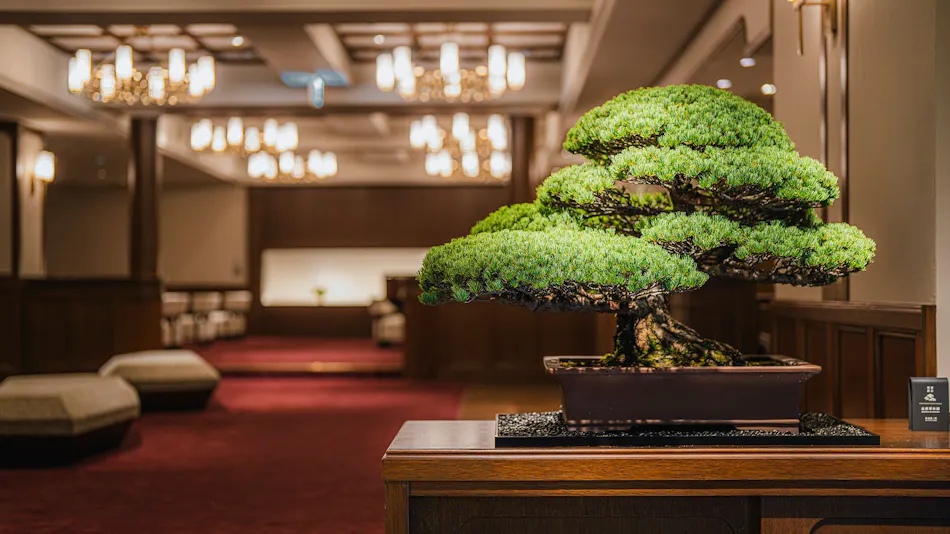 Shinzan