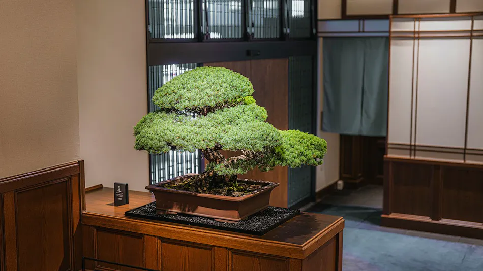 Shinzan