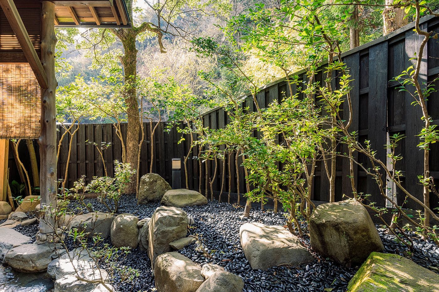 深山 -Shinzan-