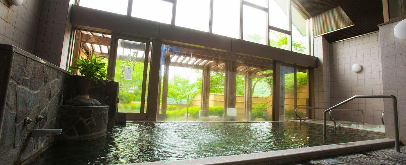 Takato Onsen Takato Sakura Hotel