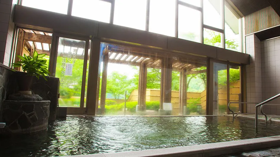 Takato Onsen Takato Sakura Hotel