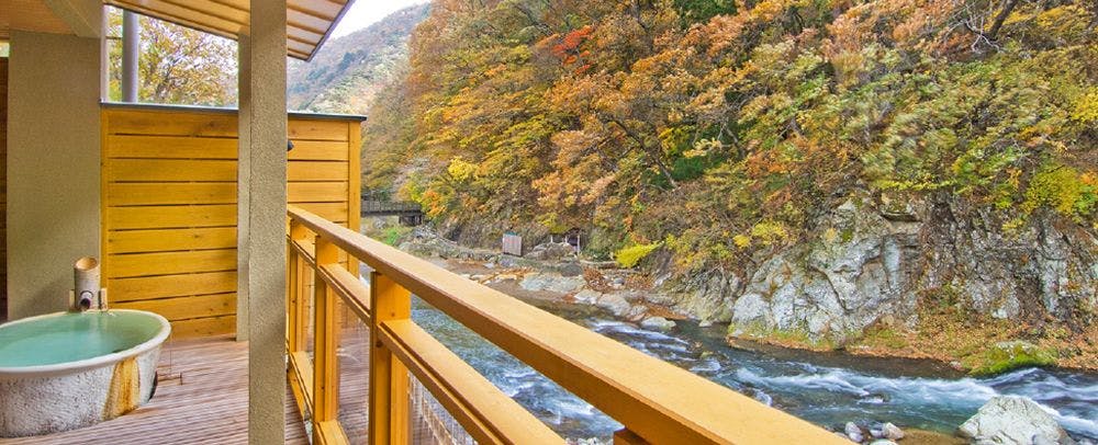 Pemandangan dedaunan musim gugur dari kamar.