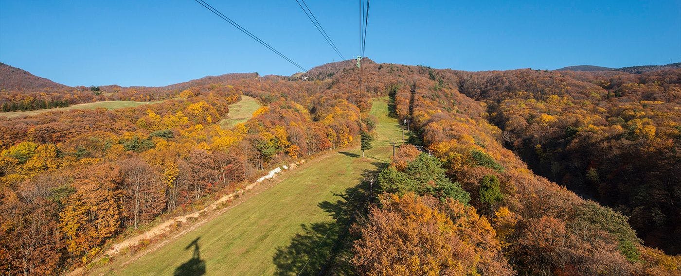 JURIN