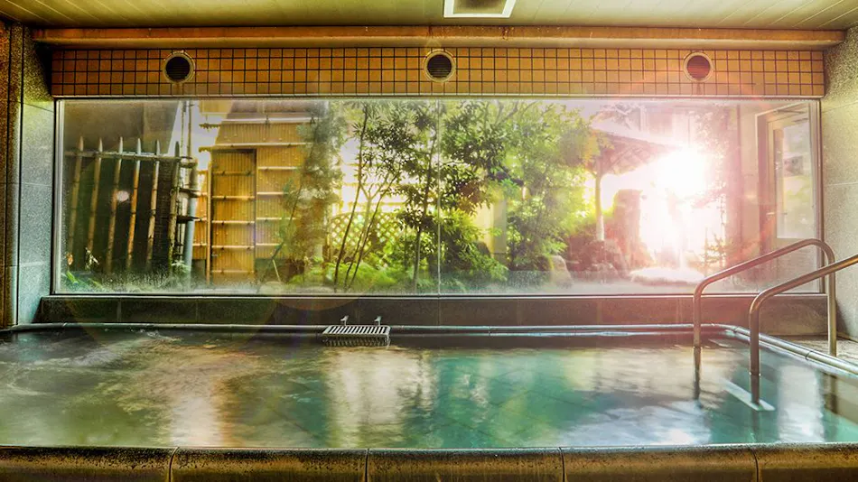 Nara Park Hotel