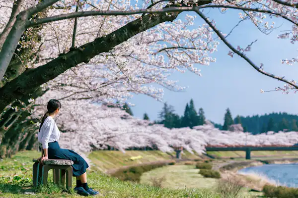 ธรรมชาติรอบๆ บริเวณที่พัก