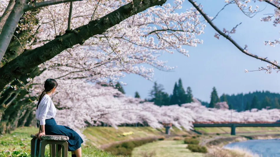 Kamenoi Hotel Tazawako