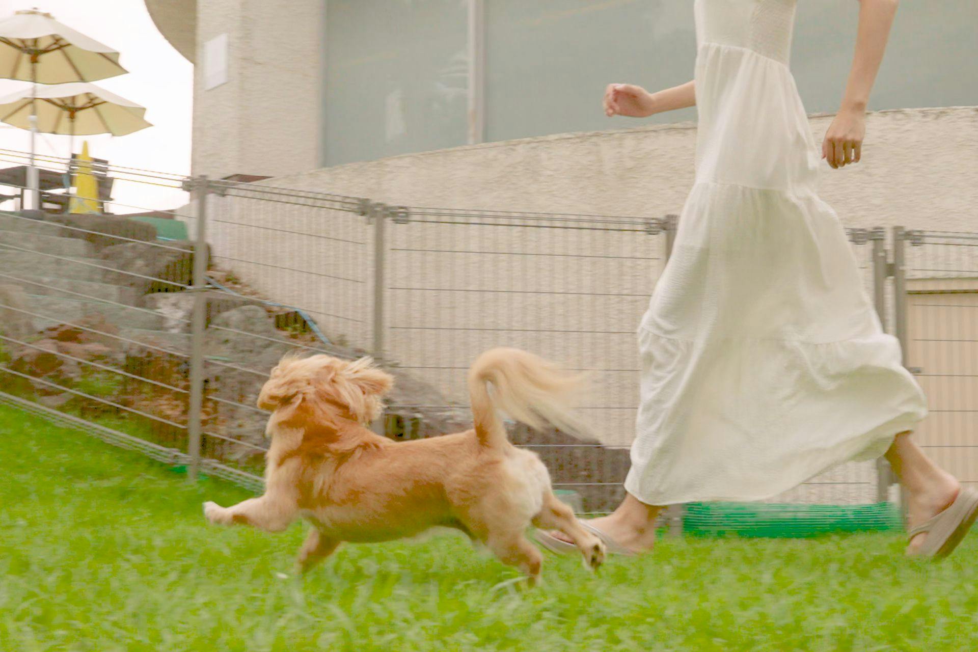 Shimoda Prince Hotel