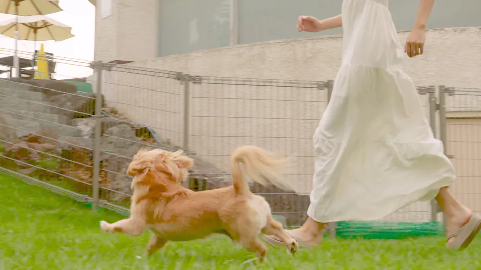 Shimoda Prince Hotel