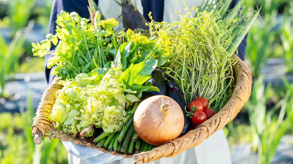 Ryuki: A Retreat for Mind and Body