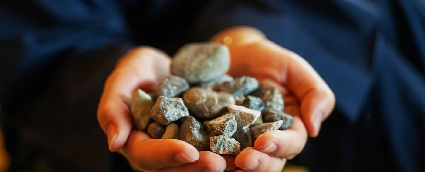 15種精選的藥石