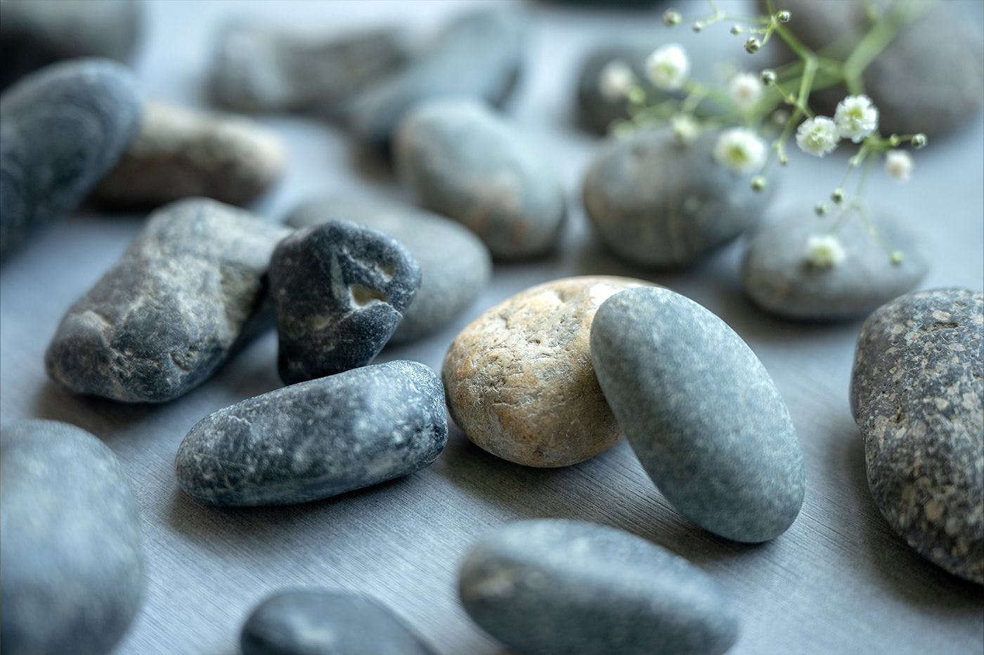 15種精選的藥石