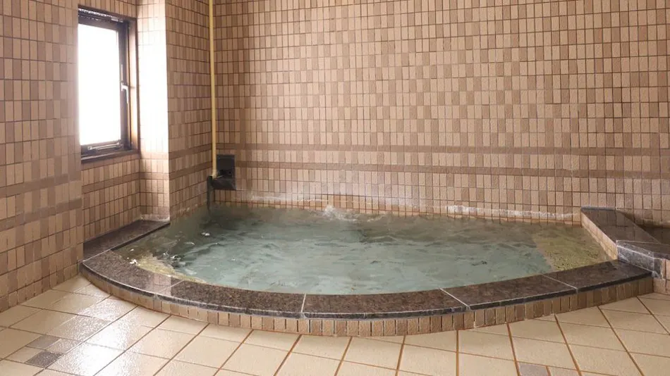 APA Hotel <Ogaki-Ekimae>
