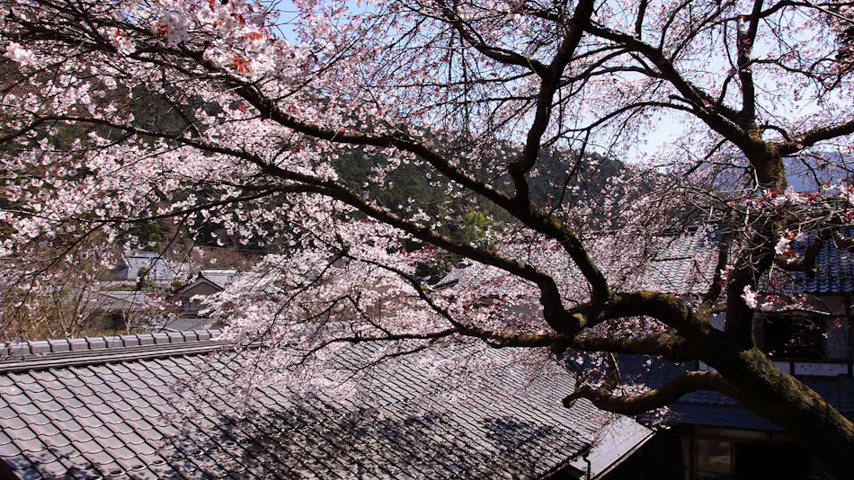 Minshuku in Ohara, Kyoto - Rare Miso with a 100-Year Tradition - Ohara Onsen Ohara no Sato