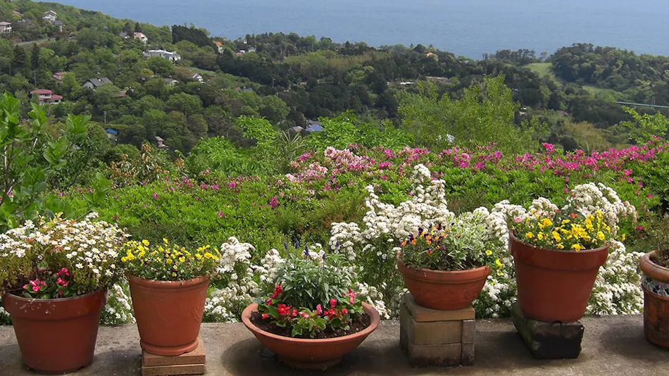 View Resort Marine Hills
