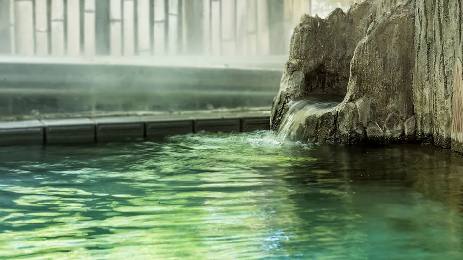 Mountain Hot Spring Waraku Yuen