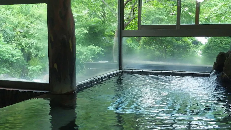 Mountain Hot Spring Waraku Yuen