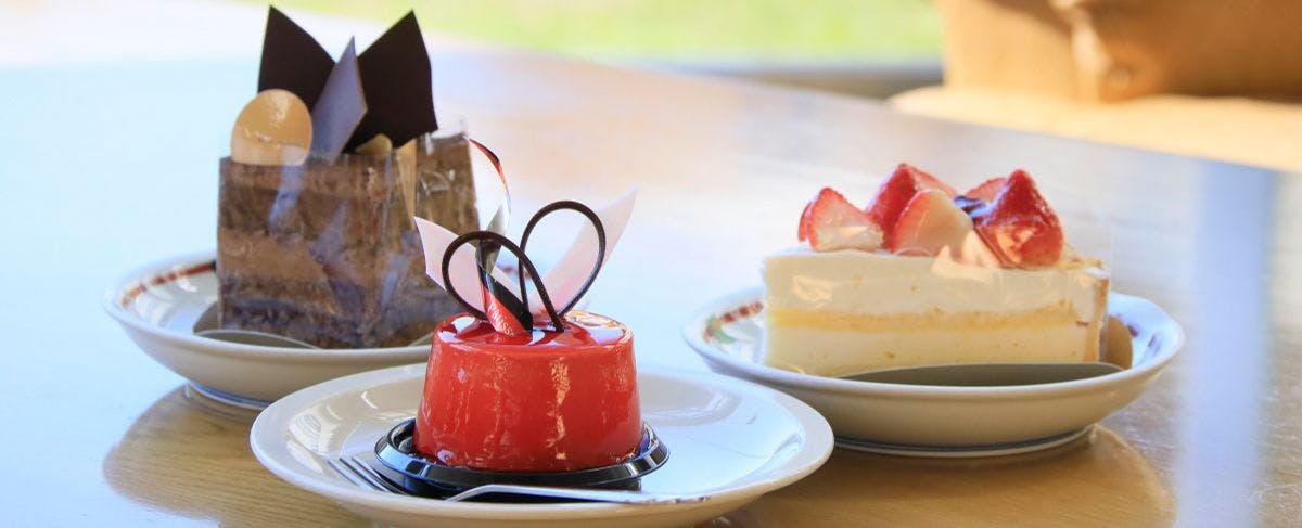 웰컴 스위트 이미지