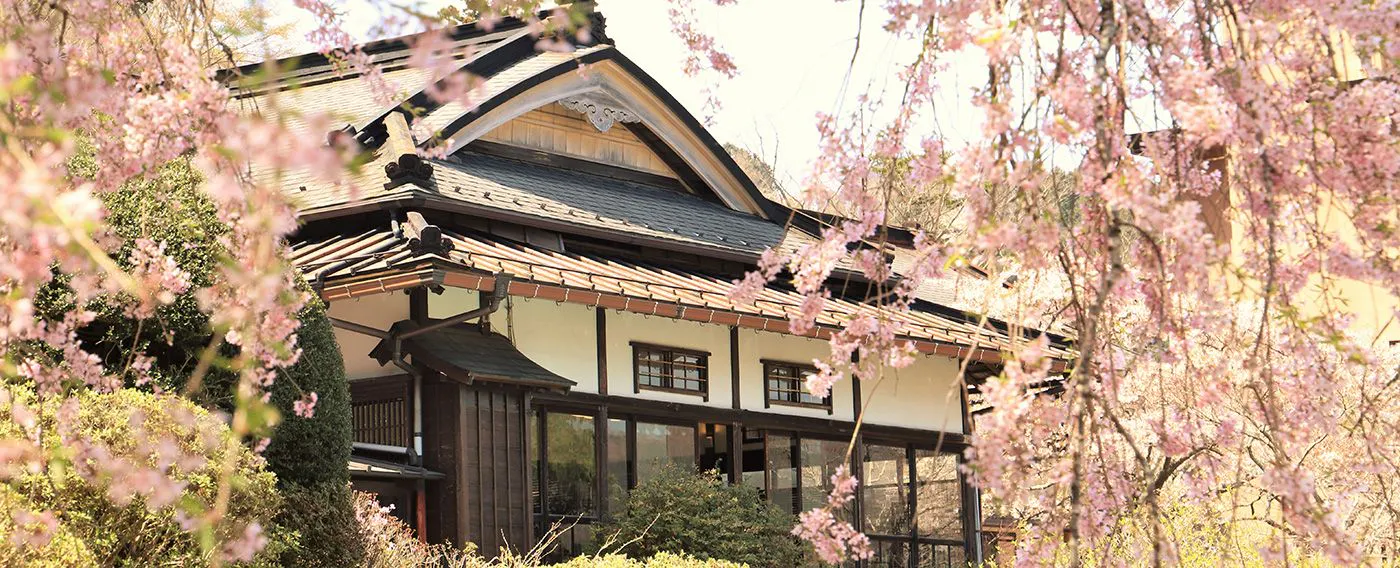 しだれ桜