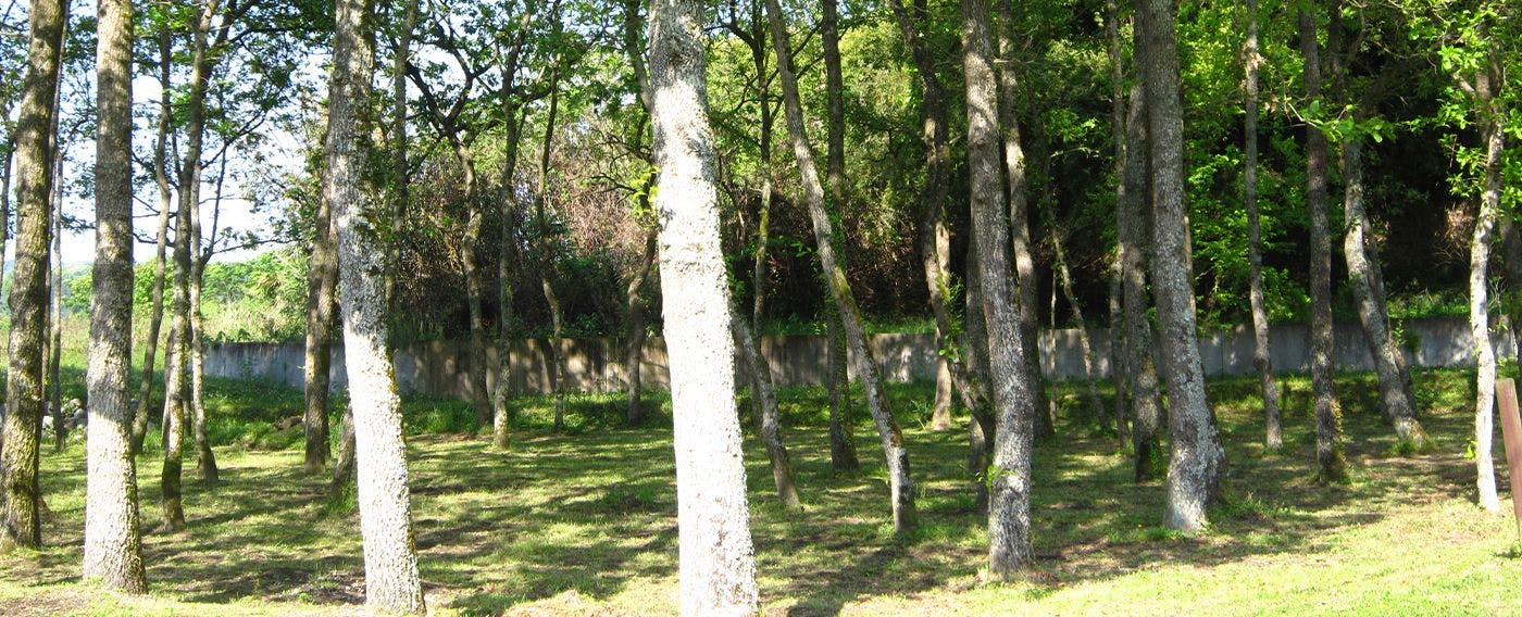 บริเวณโดยรอบ