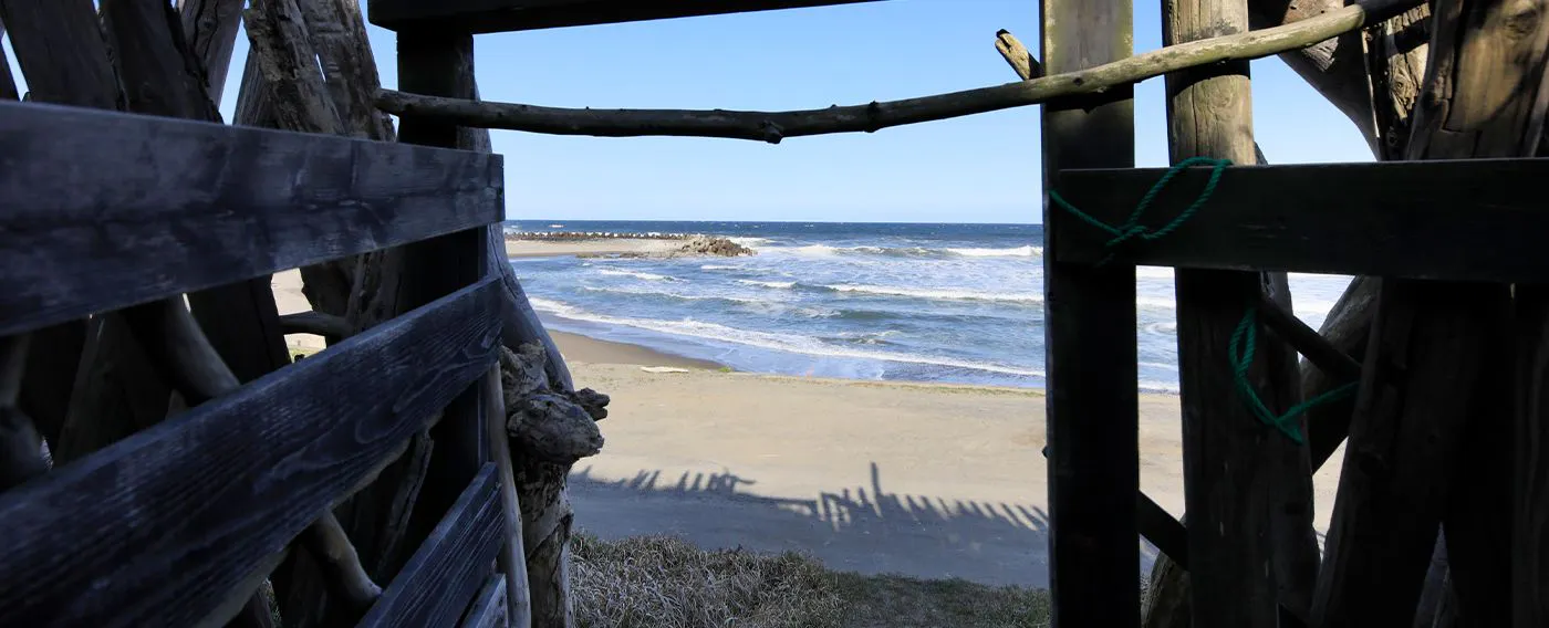 通往海岸的小徑