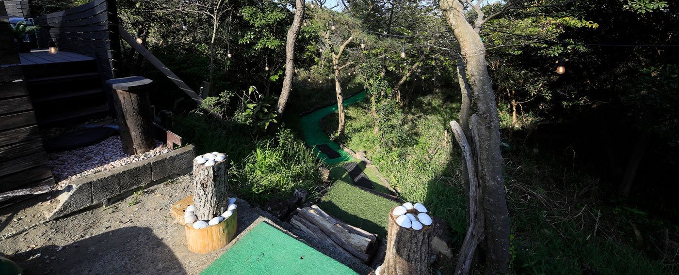 通往海岸的小徑