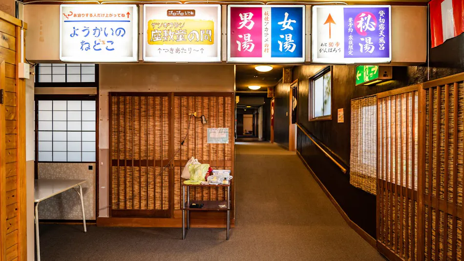 Nagamine Inn (Azumino View Inn)