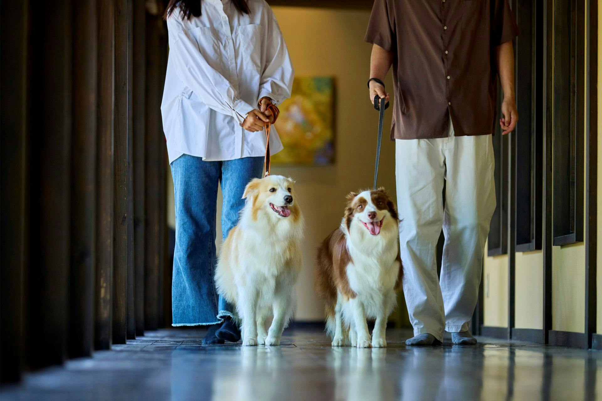 Traditional Japanese Retreat with Your Beloved Dog - Akagi Mountain - Natsukashi