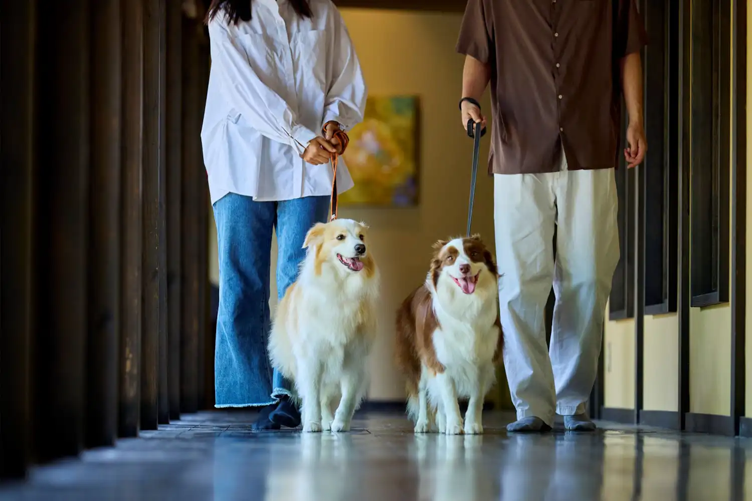 ภาพลักษณ์การเข้าพักพร้อมสัตว์เลี้ยง