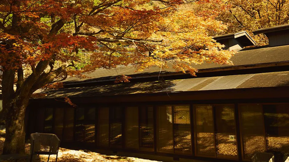 Traditional Japanese Retreat with Your Beloved Dog - Akagi Mountain - Natsukashi