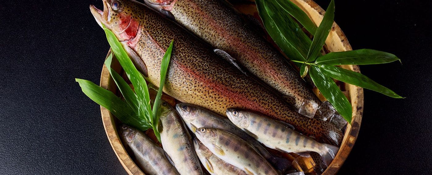 วัตถุดิบ: ปลา