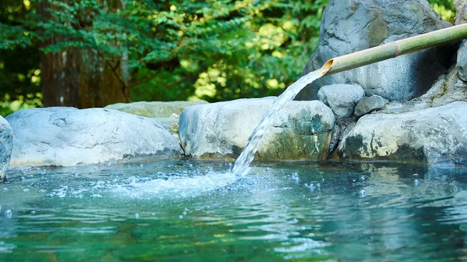 Traditional Japanese Retreat with Your Beloved Dog - Akagi Mountain - Natsukashi