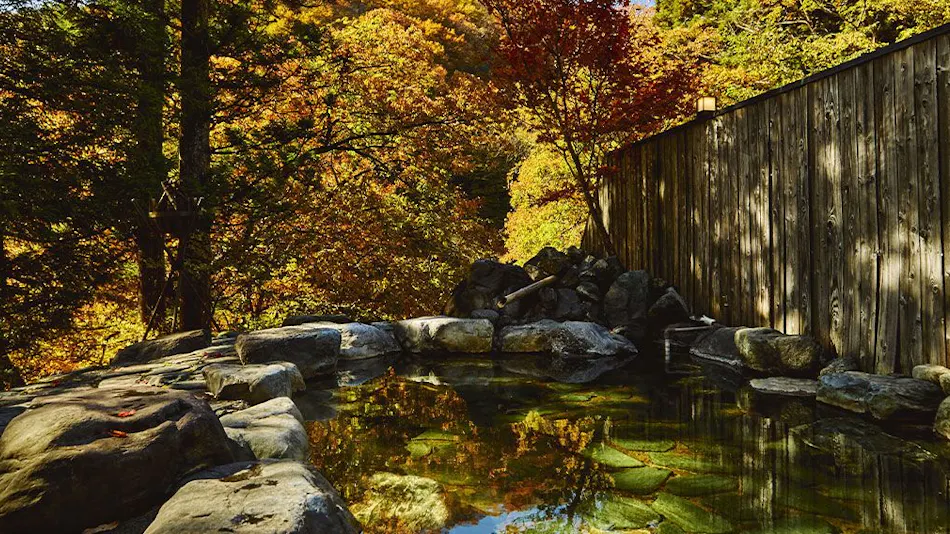 Traditional Japanese Retreat with Your Beloved Dog - Akagi Mountain - Natsukashi