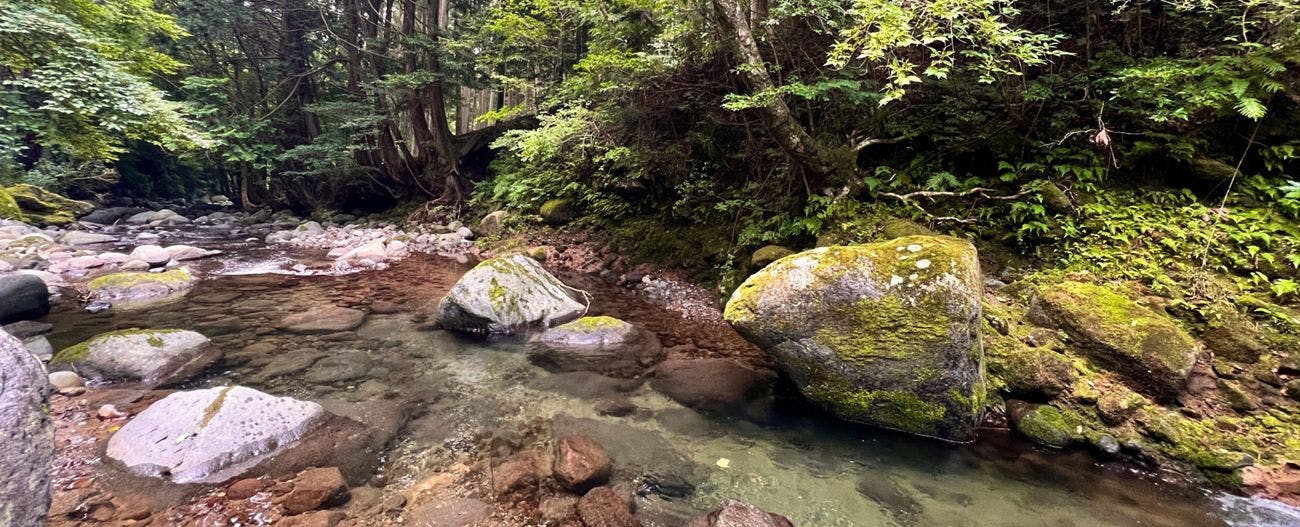 ซาโนะกาวะ