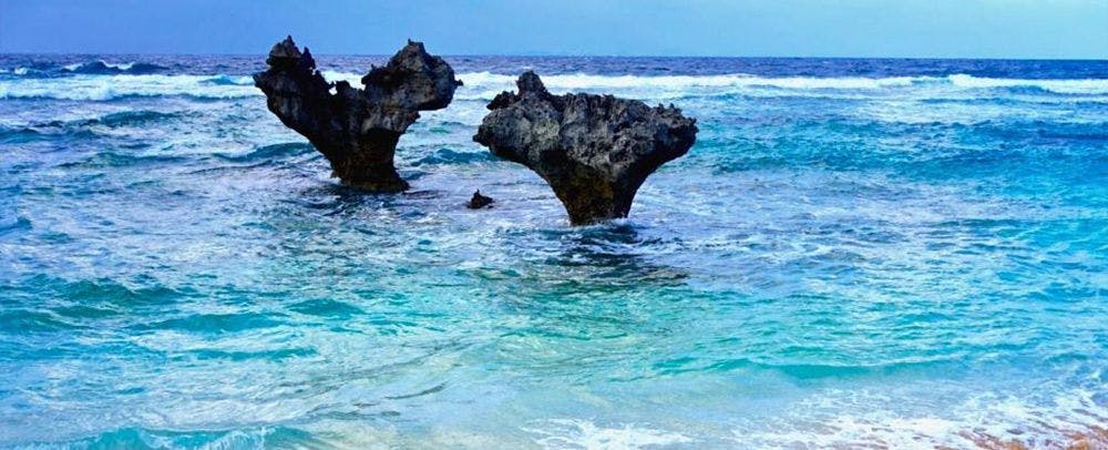 주변 관광지 예시