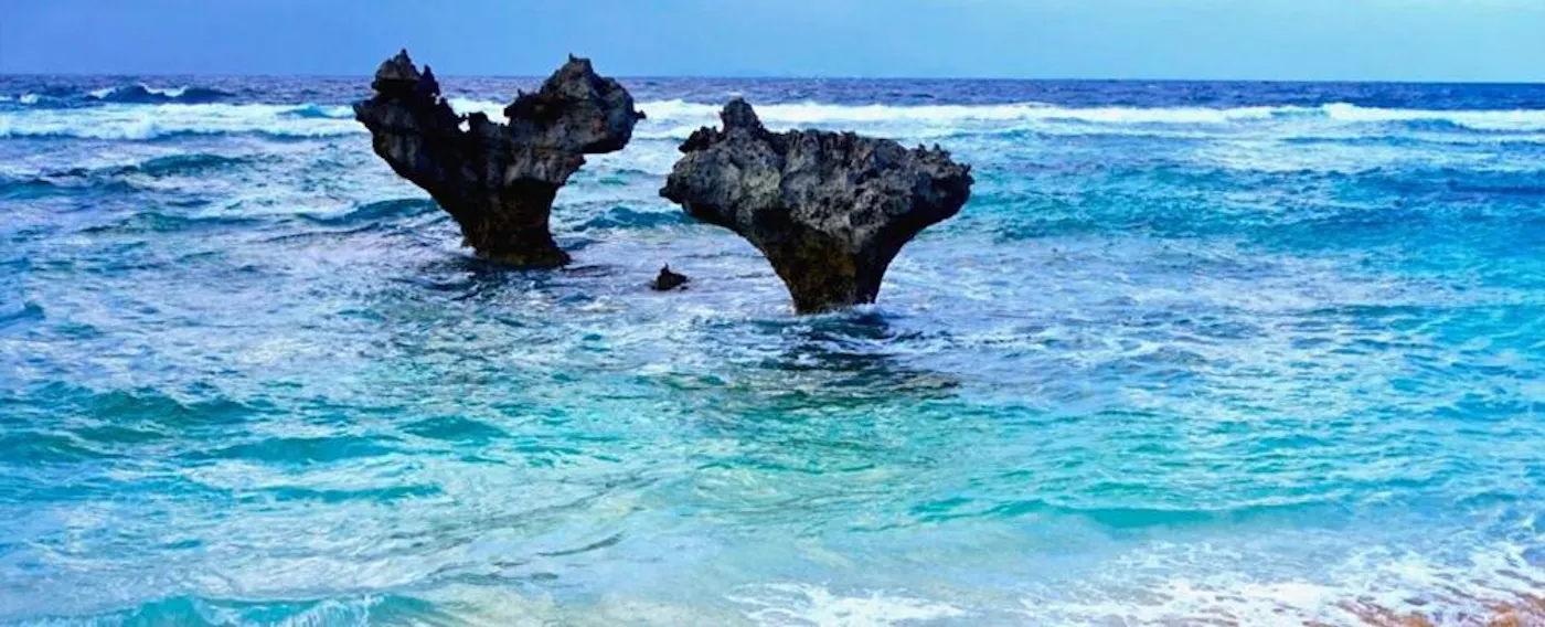 주변 관광지 예시