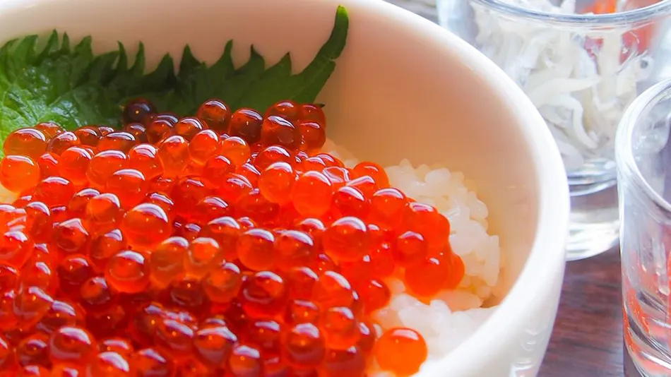 Hotel Emisia Sapporo