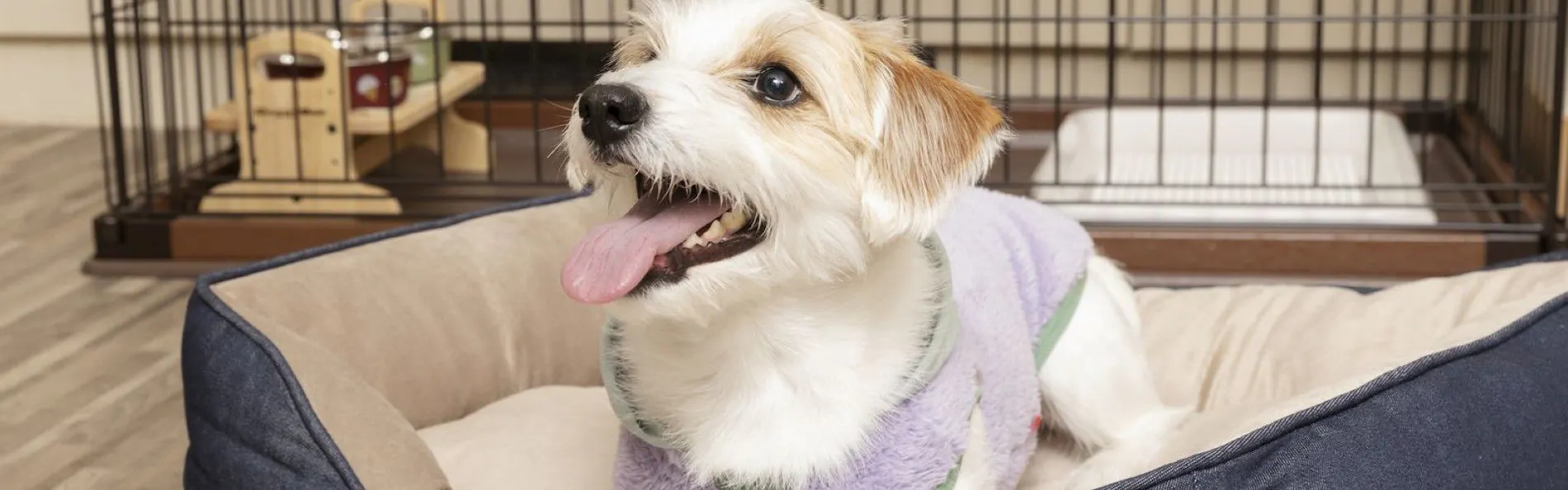 札幌パークホテル