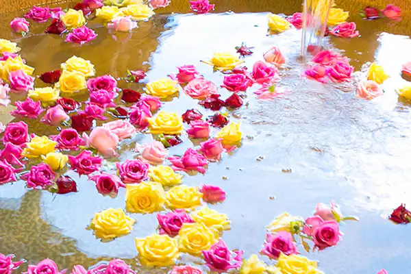 น้ำพุร้อน