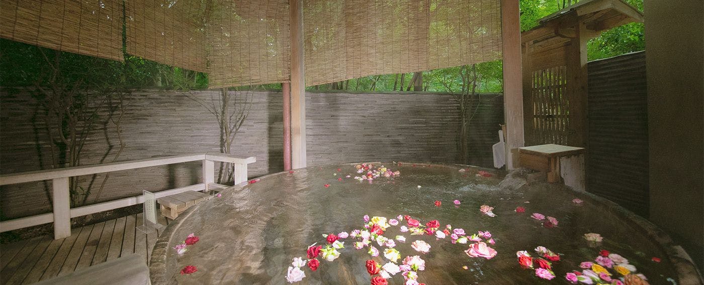 松庵