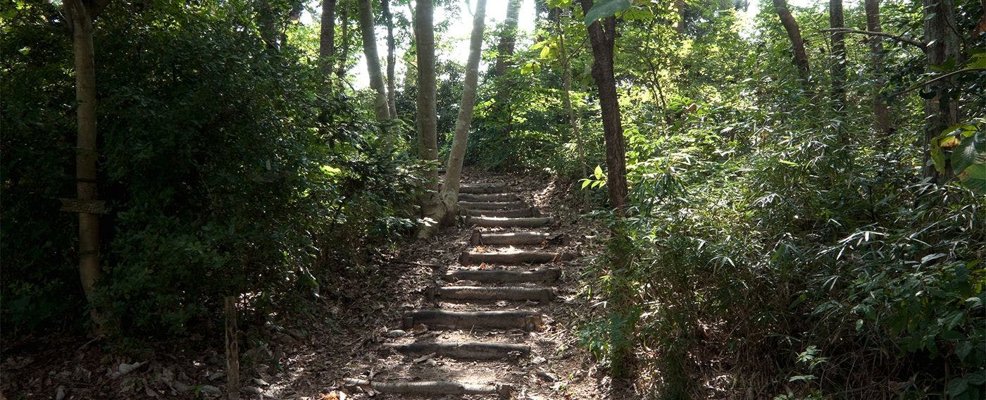 松庵