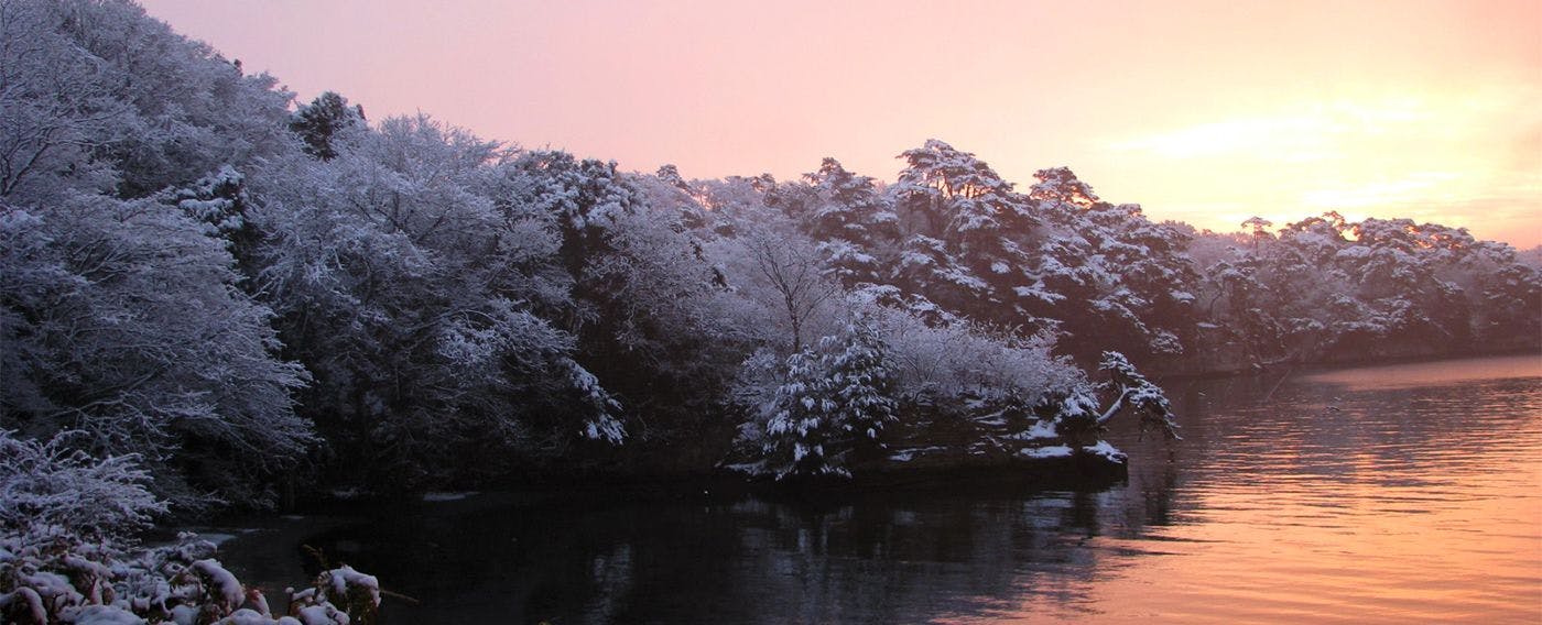 松庵