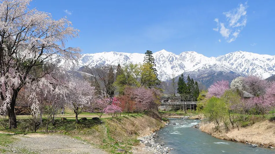 Hakuba Tokyu Hotel