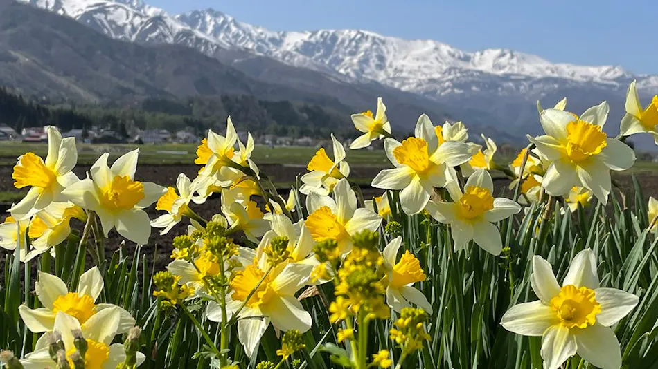 Hakuba Tokyu Hotel